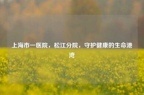上海市一医院,松江分院,守护健康的生命港湾