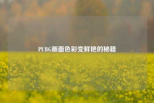 PUBG画面色彩变鲜艳的秘籍