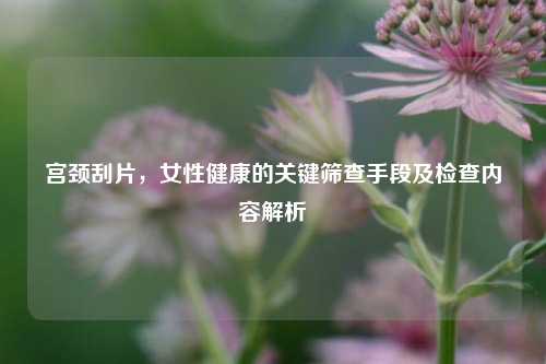 宫颈刮片,女性健康的关键筛查手段及检查内容解析