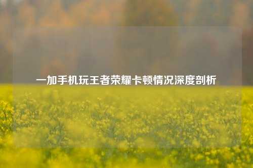 一加手机玩王者荣耀卡顿情况深度剖析