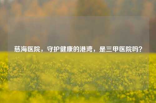 慈海医院,守护健康的港湾,是三甲医院吗?