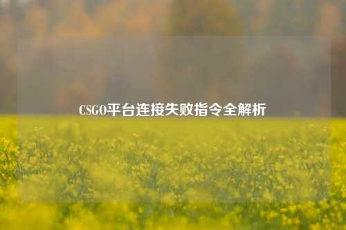 CSGO平台连接失败指令全解析