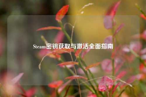 Steam密钥获取与激活全面指南