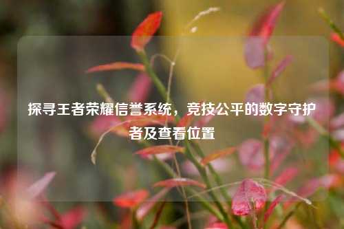 探寻王者荣耀信誉系统,竞技公平的数字守护者及查看位置