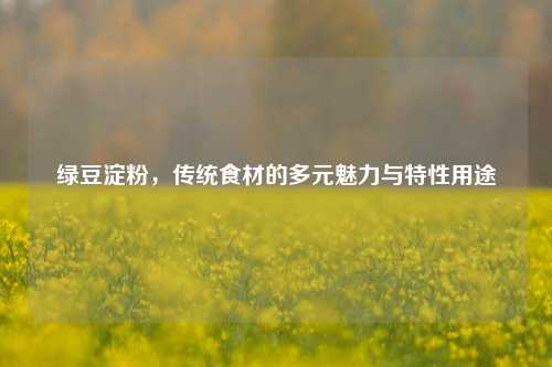 绿豆淀粉,传统食材的多元魅力与特性用途
