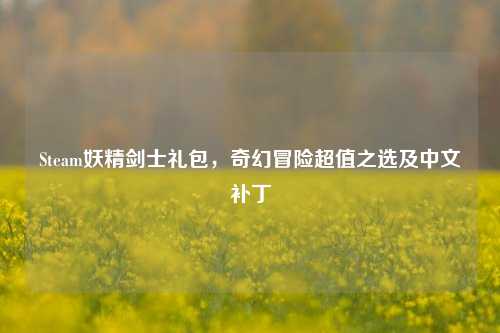 Steam妖精剑士礼包,奇幻冒险超值之选及中文补丁