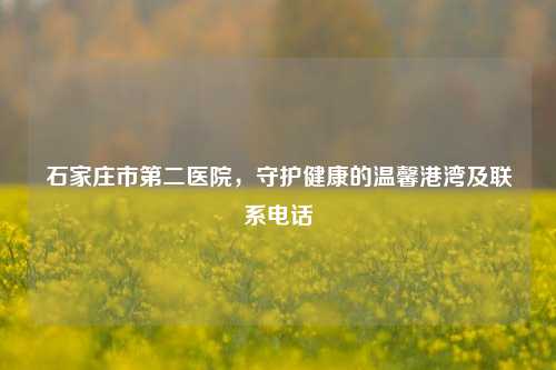 石家庄市第二医院,守护健康的温馨港湾及联系