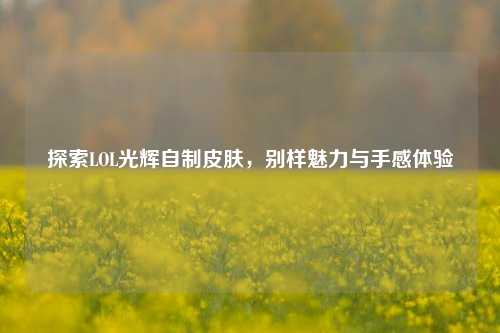 探索LOL光辉自制皮肤,别样魅力与手感体验