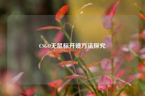 CSGO无鼠标开镜 探究