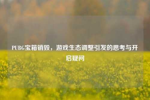 PUBG宝箱销毁,游戏生态调整引发的思考与开启疑问