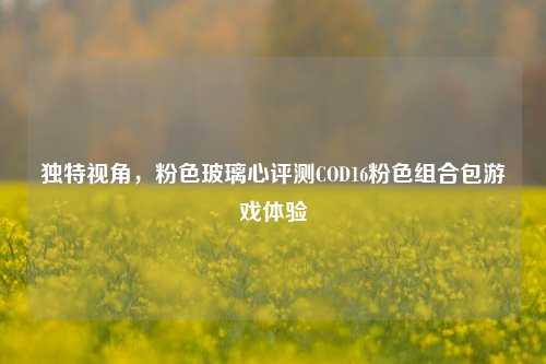 独特视角,粉色玻璃心评测COD16粉色组合包游戏体验