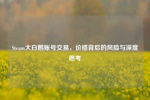 Steam大白鹅账号交易,价格背后的风险与深度思考
