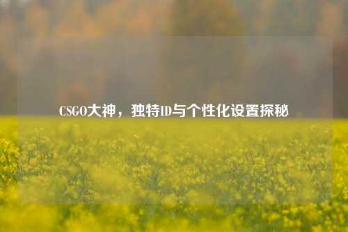 CSGO大神,独特ID与个性化设置探秘