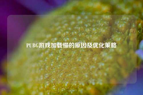 PUBG游戏加载慢的原因及优化策略