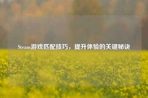 Steam游戏匹配技巧,提升体验的关键秘诀