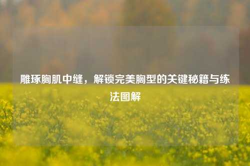 雕琢胸肌中缝,解锁完美胸型的关键秘籍与练法图解