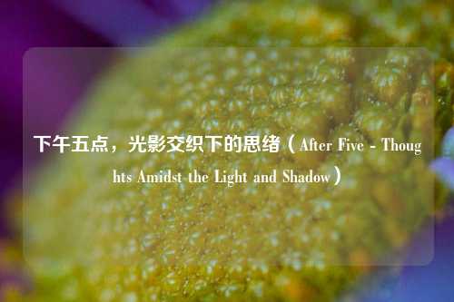 下午五点,光影交织下的思绪(After Five - Thoughts Amidst the Light and Shadow)