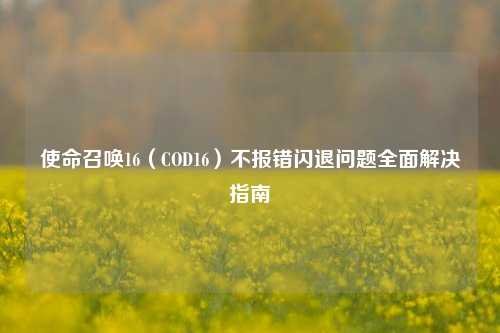 使命召唤16(COD16)不报错闪退问题全面解决指南