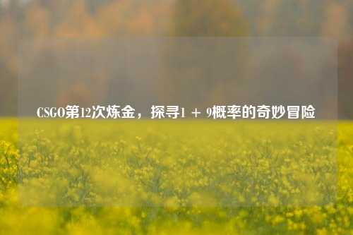 CSGO第12次炼金,探寻1 + 9概率的奇妙冒险
