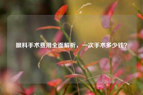 眼科手术费用全面解析,一次手术多少钱?