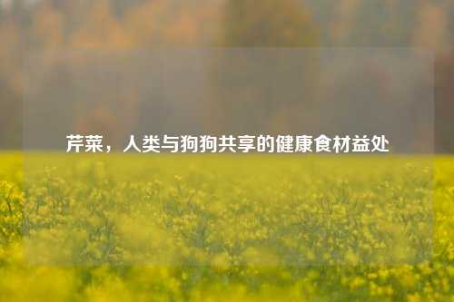 芹菜,人类与狗狗共享的健康食材益处