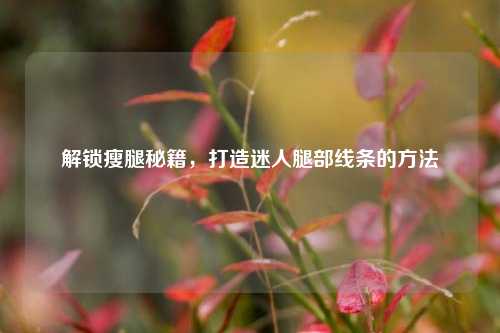 解锁瘦腿秘籍,打造迷人腿部线条的
