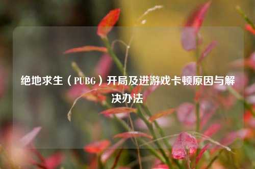绝地求生(PUBG)开局及进游戏卡顿原因与解决办法