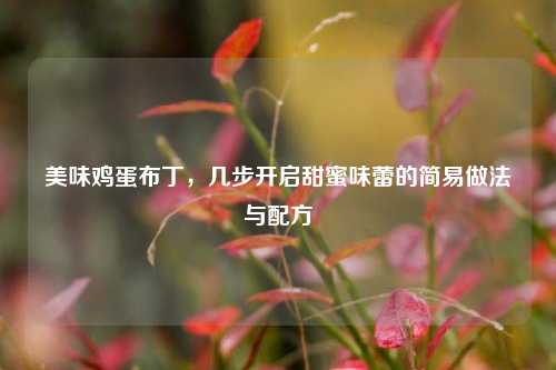 美味鸡蛋布丁,几步开启甜蜜味蕾的简易做法与配方