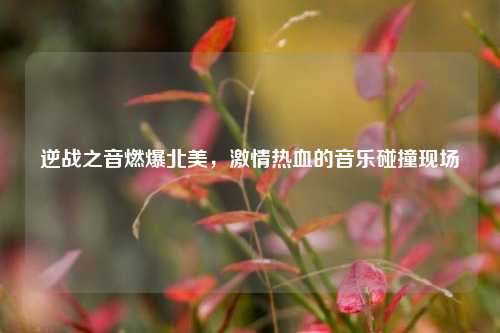 逆战之音燃爆北美,***热血的音乐碰撞现场