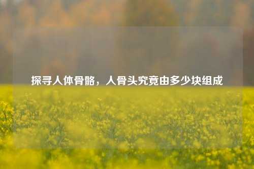 探寻人体骨骼,人骨头究竟由多少块组成