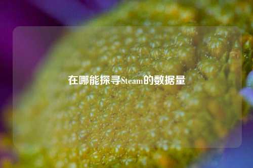 在哪能探寻Steam的数据量