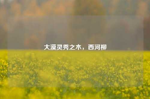 大漠灵秀之木,西河柳