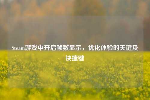 Steam游戏中开启帧数显示,优化体验的关键及快捷键