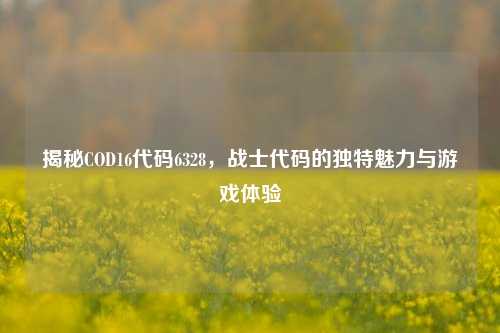 揭秘COD16代码6328,战士代码的独特魅力与游戏体验