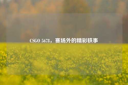 CSGO 5678,赛场外的精彩轶事