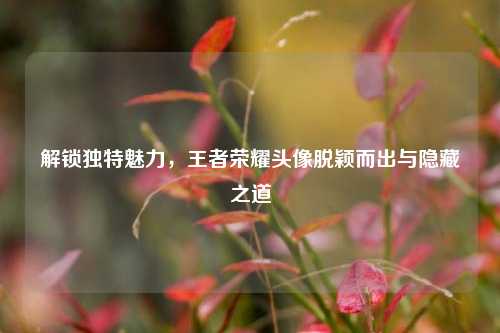 解锁独特魅力,王者荣耀头像脱颖而出与隐藏之道