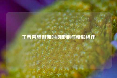 王者荣耀假期时间限制与精彩相伴