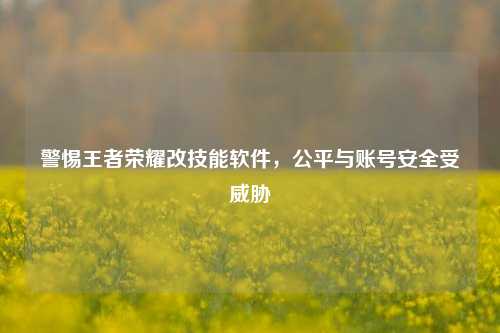 警惕王者荣耀改技能软件,公平与账号安全受威胁