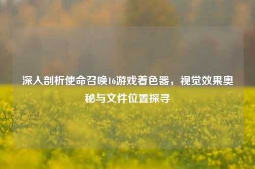 深入剖析使命召唤16游戏着色器,视觉效果奥秘与文件位置探寻