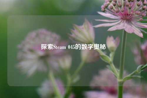 探索Steam 045的数字奥秘
