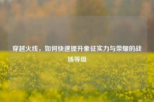 穿越火线,如何快速提升象征实力与荣耀的战场等级