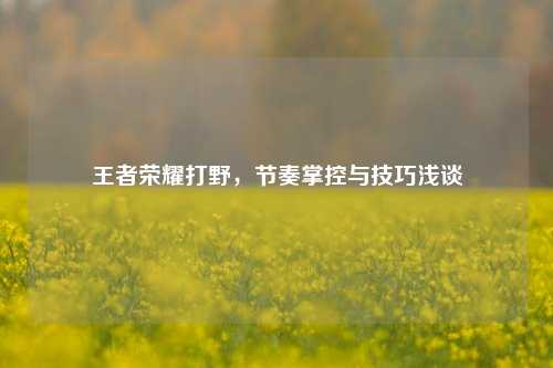 王者荣耀打野,节奏掌控与技巧浅谈