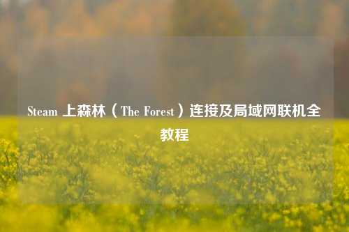 Steam 上森林(The Forest)连接及局域网联机全教程