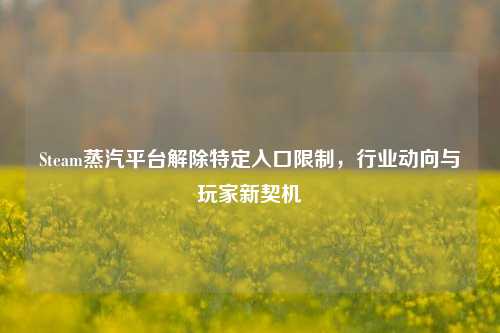 Steam蒸汽平台解除特定入口限制,行业动向与玩家新契机