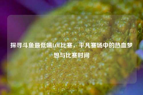 探寻斗鱼更低端LOL比赛,平凡赛场中的热血梦想与比赛时间