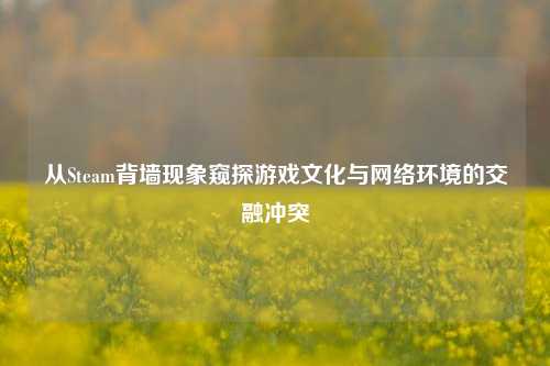 从Steam背墙现象窥探游戏文化与 环境的交融冲突