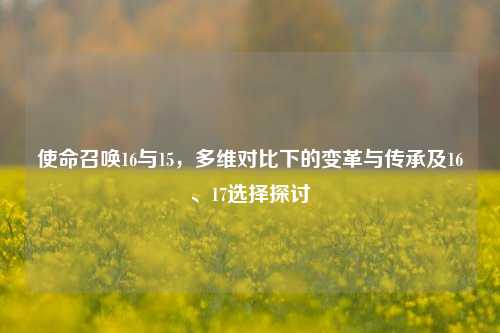 使命召唤16与15,多维对比下的变革与传承及16、17选择探讨