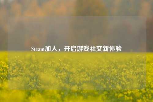 Steam加人,开启游戏社交新体验