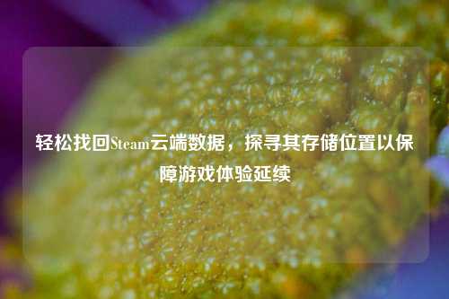 轻松找回Steam云端数据,探寻其存储位置以保障游戏体验延续