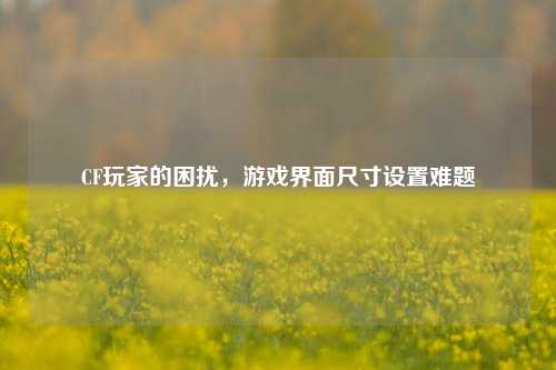 CF玩家的困扰,游戏界面尺寸设置难题
